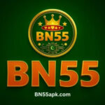 BN55
