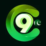 C99 game